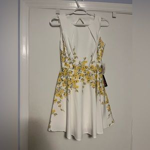 Short spring dress, never worn with tags.